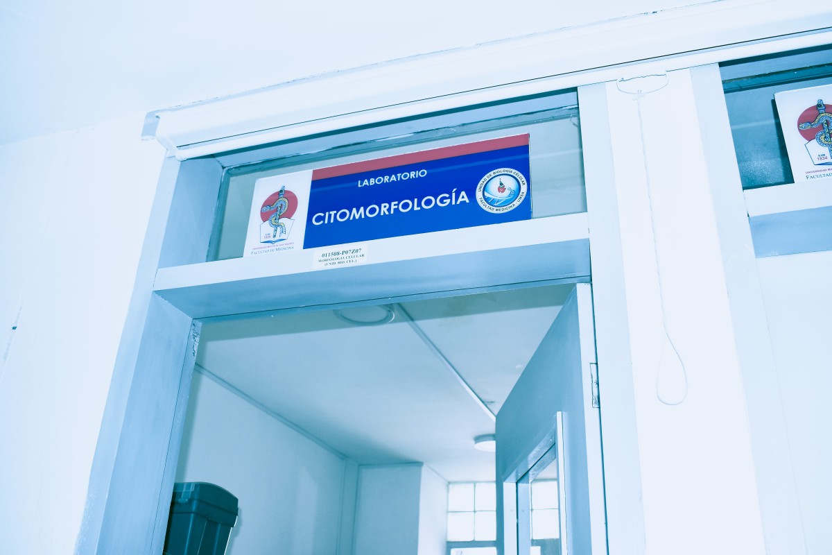 citomorfologia