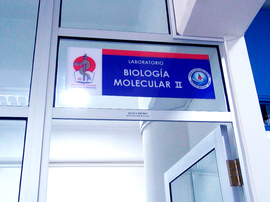 biologia molecular1