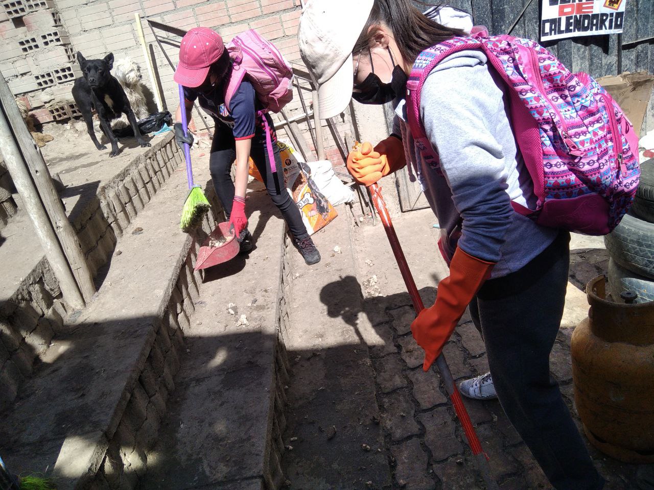 Imagen 4